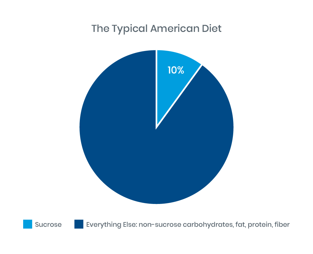 CSID-Info-The-Typical-American-Diet.jpg