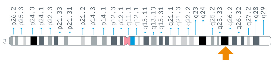 Sucraid_Genetics_SI-Gene.jpg