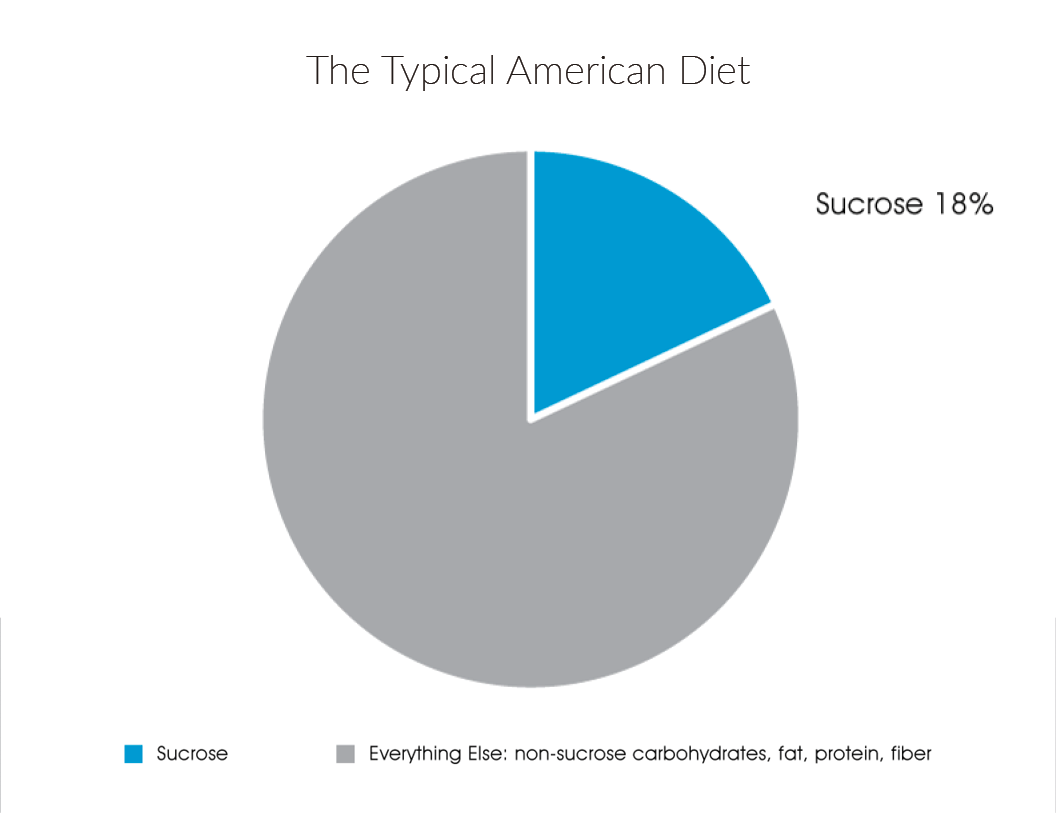 typical-american-diet-sucrose-5.png